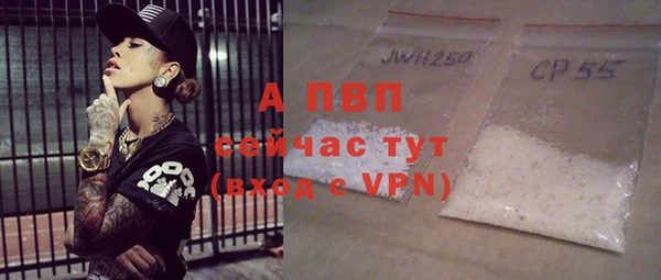прущий лед Дмитриев